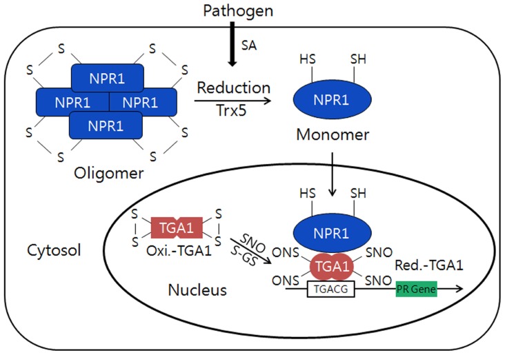 FIGURE 3