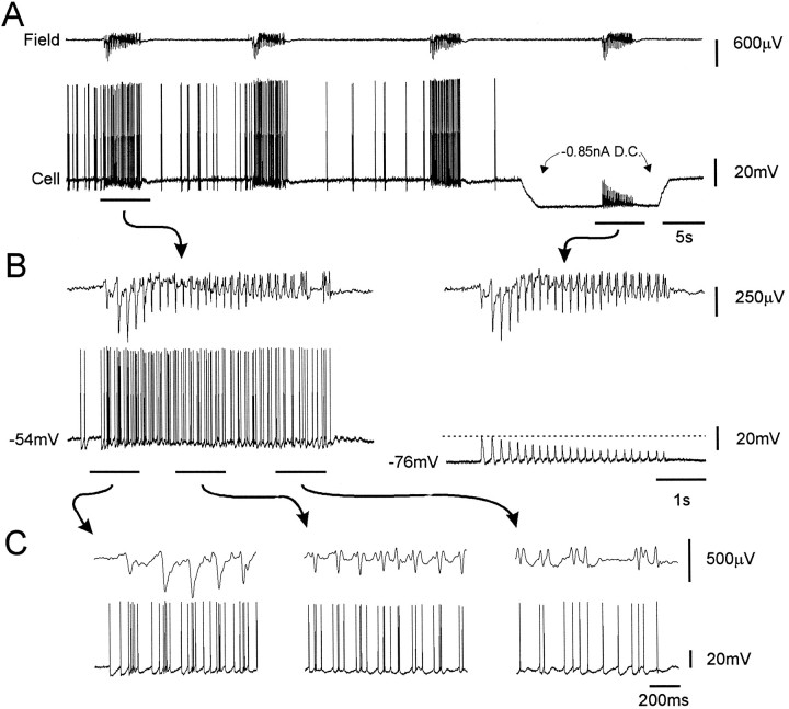 Fig. 6.