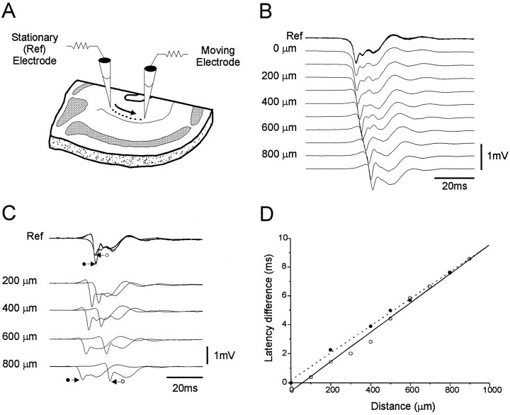 Fig. 3.