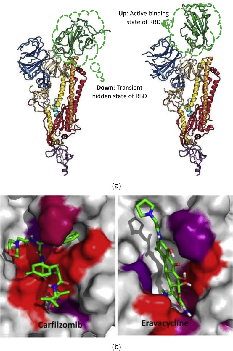 Fig. 16