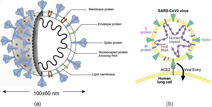 Fig. 2