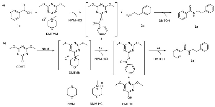 Scheme 3