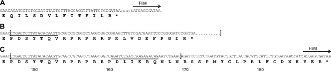 Fig 5