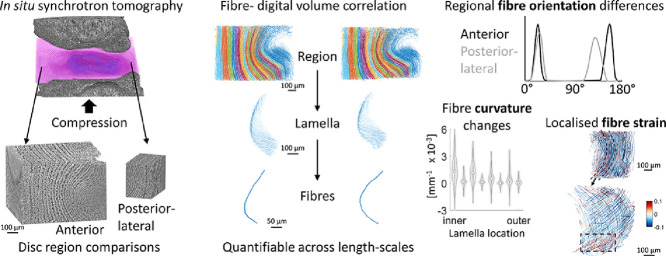 Image, graphical abstract