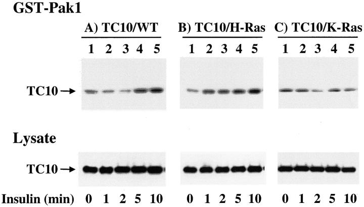 Figure 3.