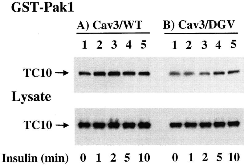 Figure 10.