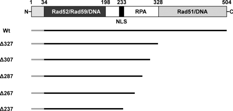 FIGURE 1.