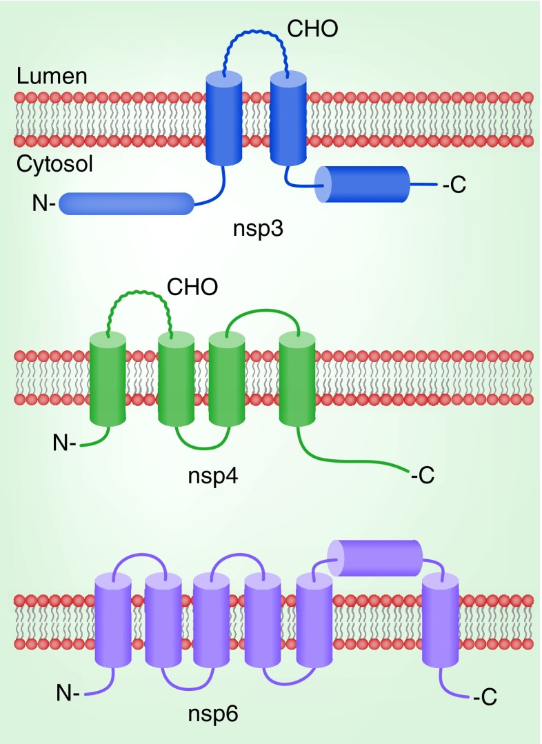 Figure 3. 