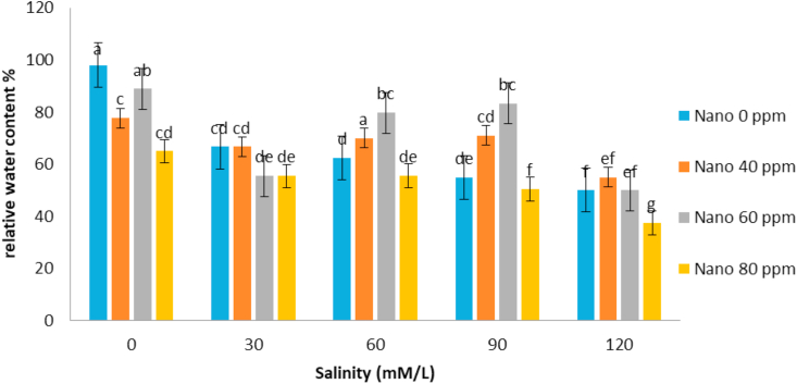 Figure 10