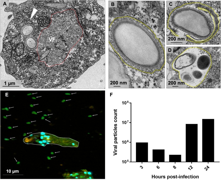 Fig. 9