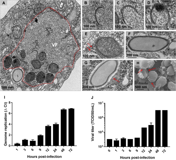 Fig. 6