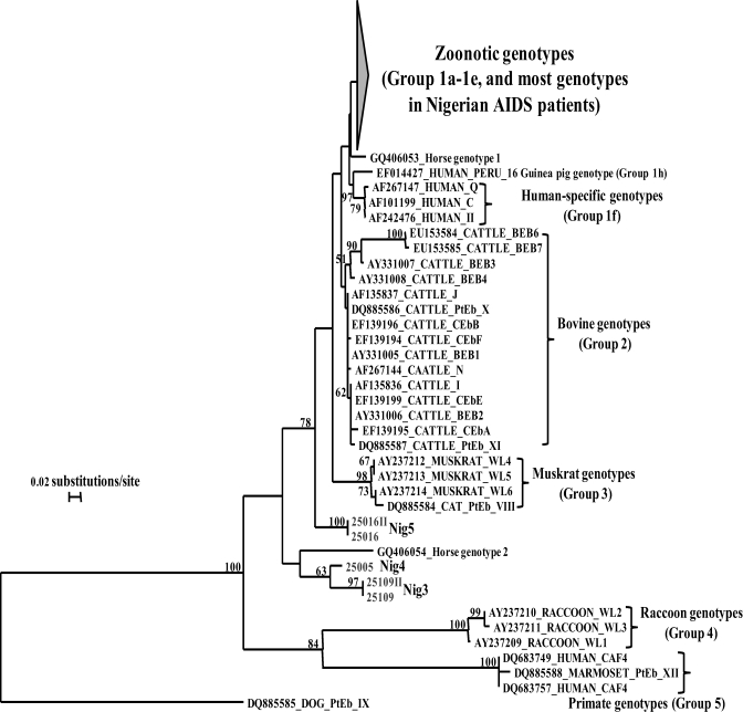 Figure 1.