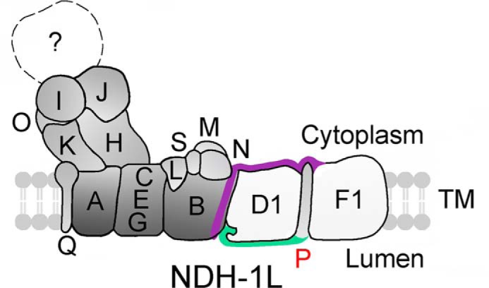 FIGURE 10.