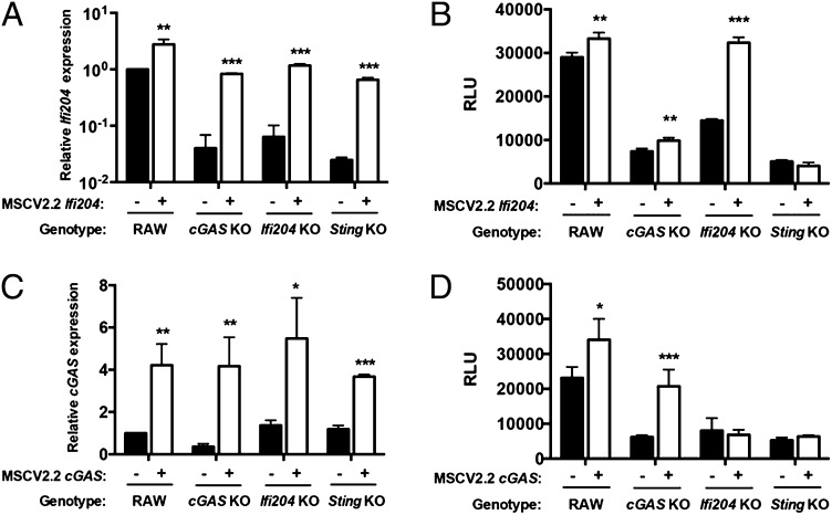 FIGURE 4.