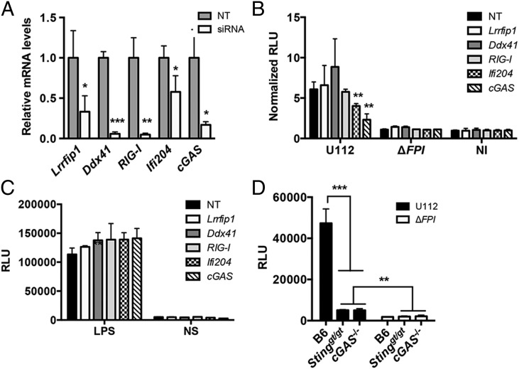 FIGURE 1.