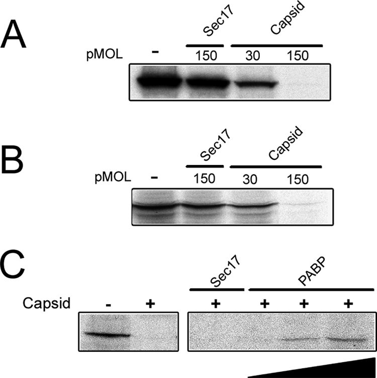 FIG. 7.