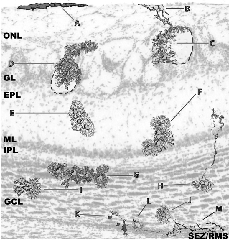 Figure 6.