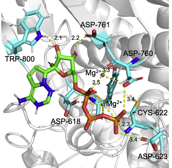 Figure 6