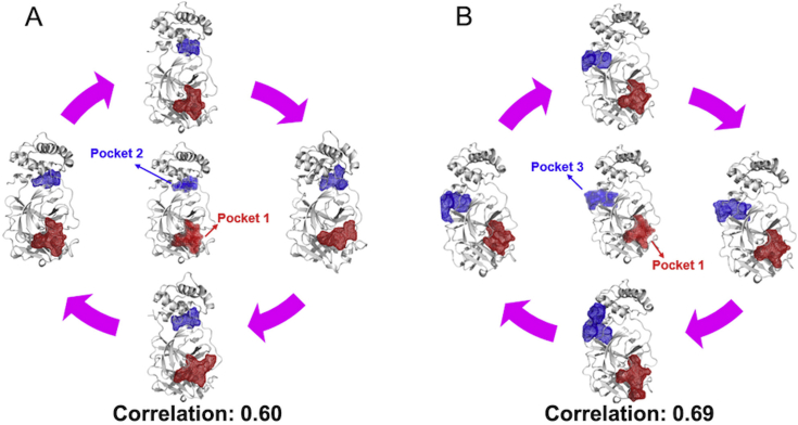 Figure 4