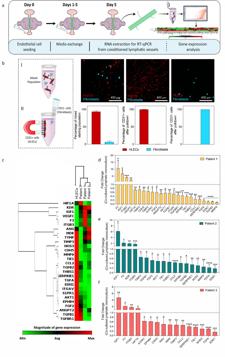 Figure 4: