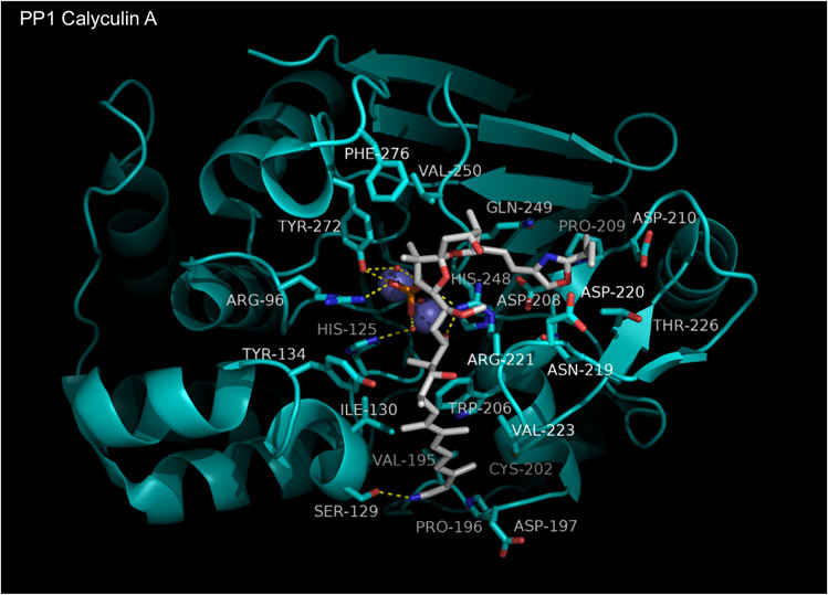 Figure 13.