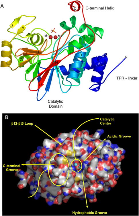 Figure 4.