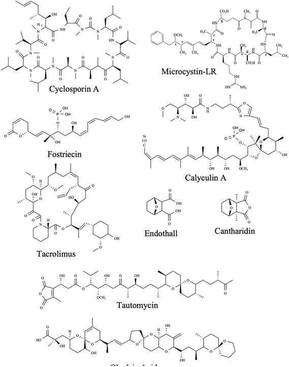 Figure 9.