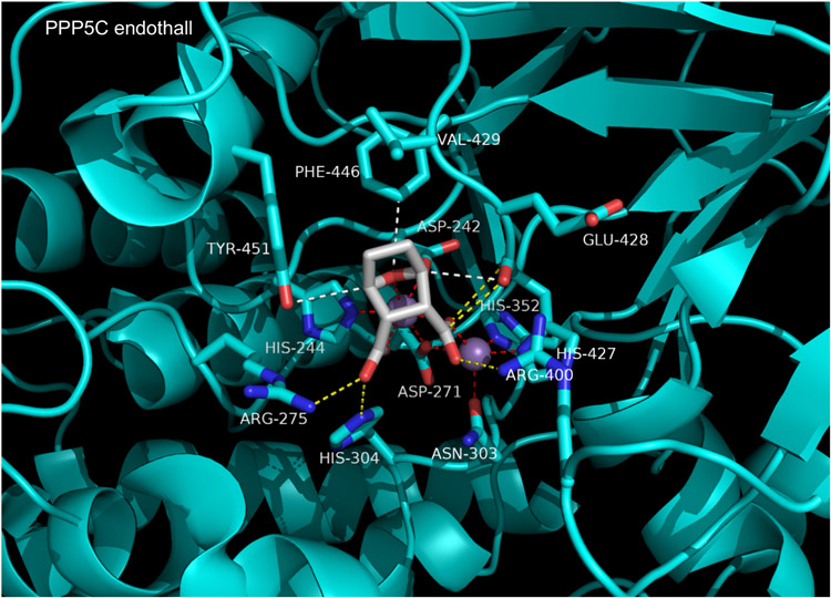 Figure 14.