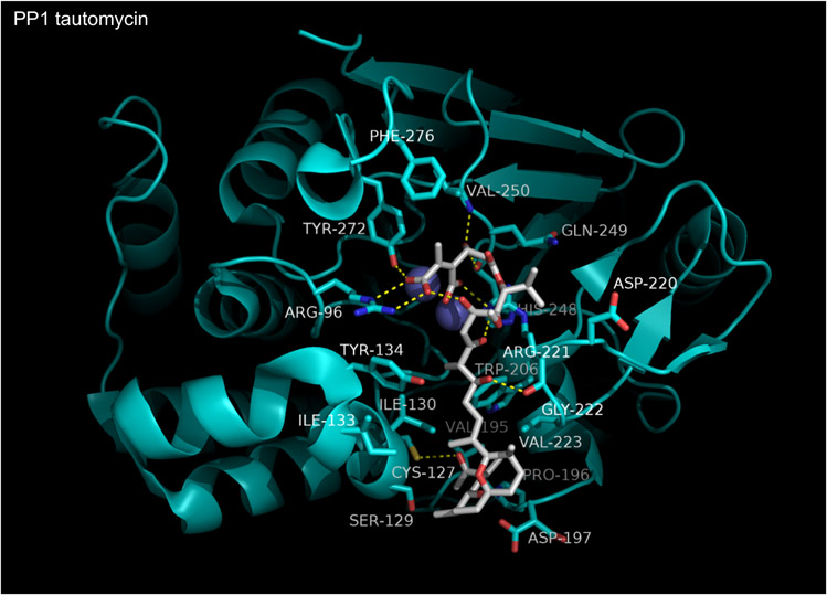 Figure 12.