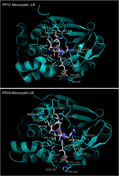 Figure 10.