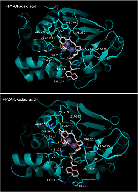 Figure 11.