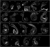 Fig. 5.
