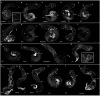 Fig. 6.