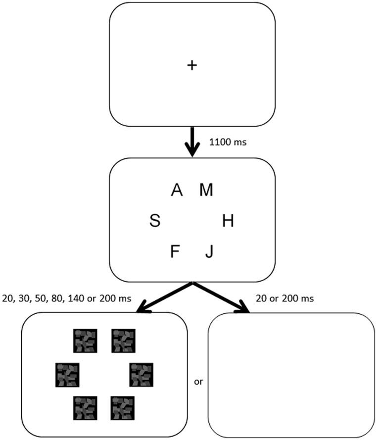 FIGURE 1