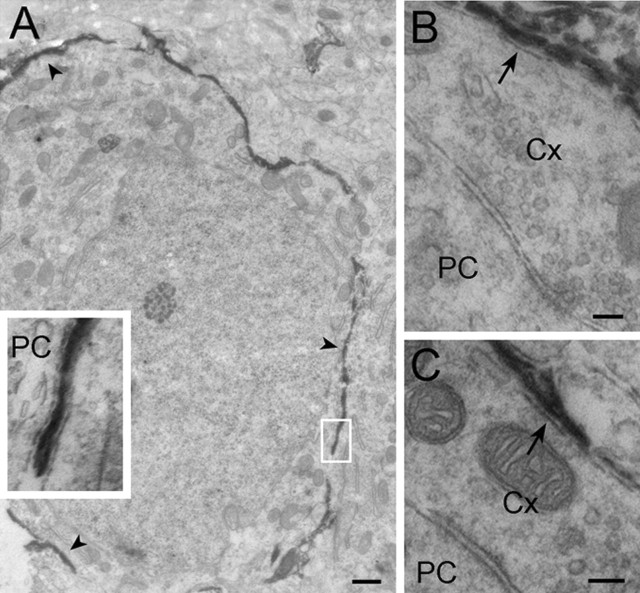
Figure 11.
