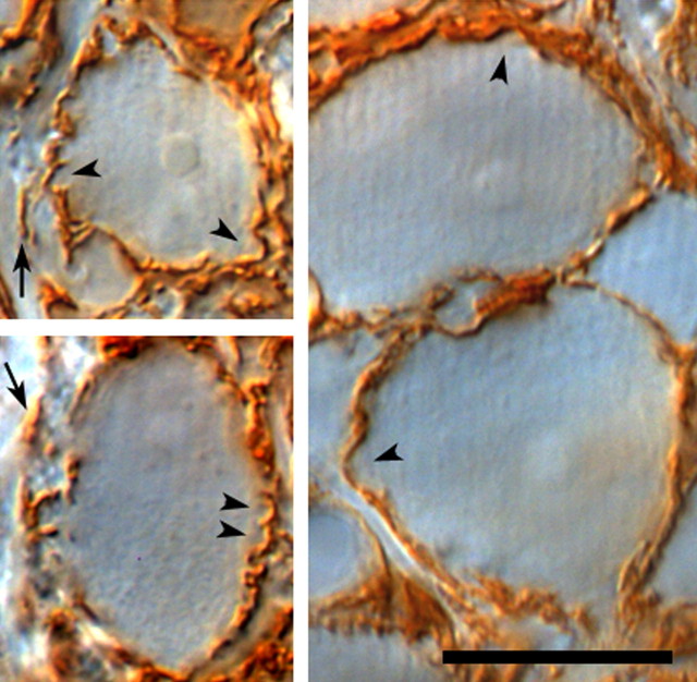 
Figure 10.
