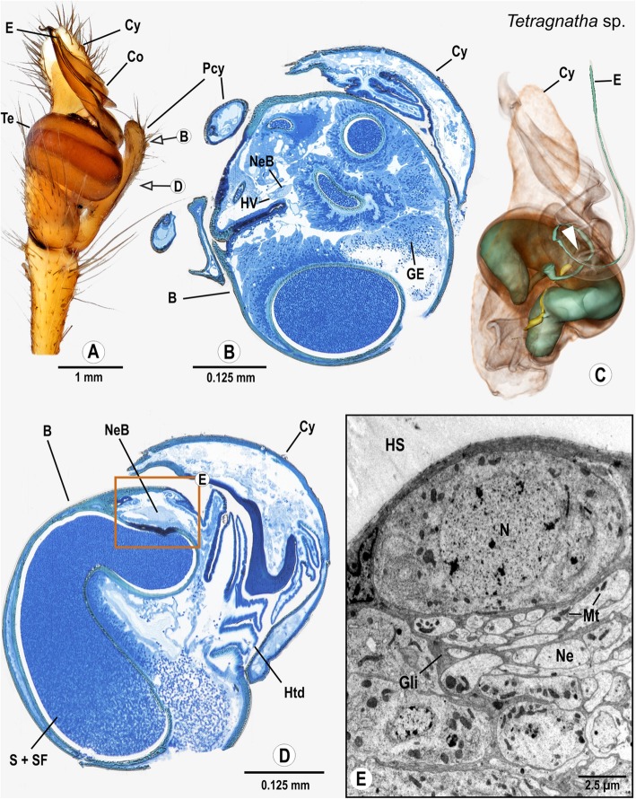 Fig. 8