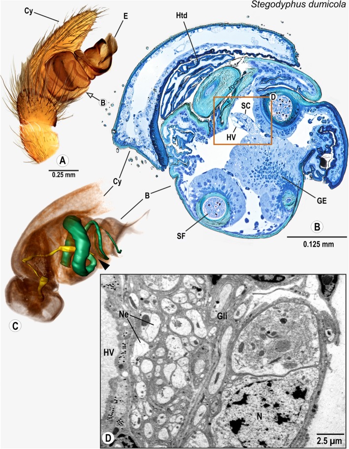 Fig. 6