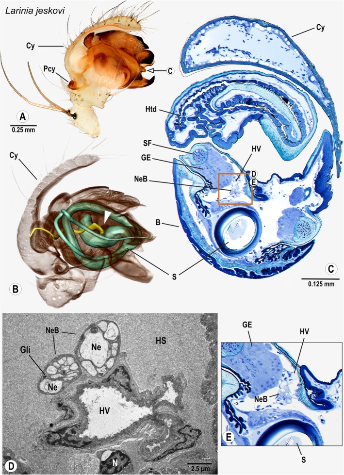 Fig. 7