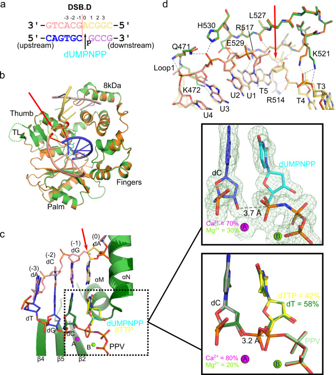 Fig. 8