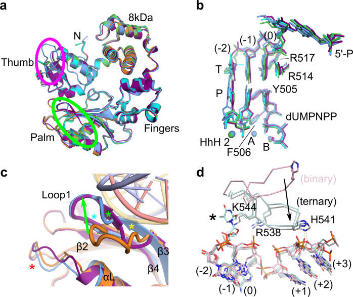 Fig. 9