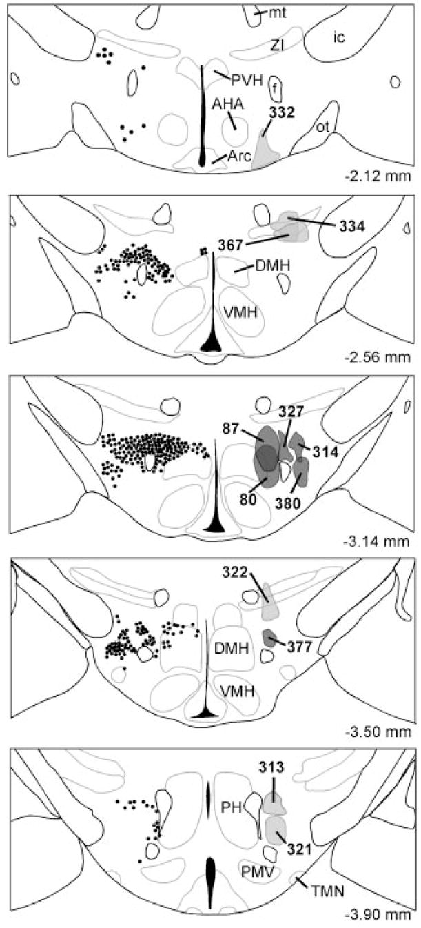 Fig. 2