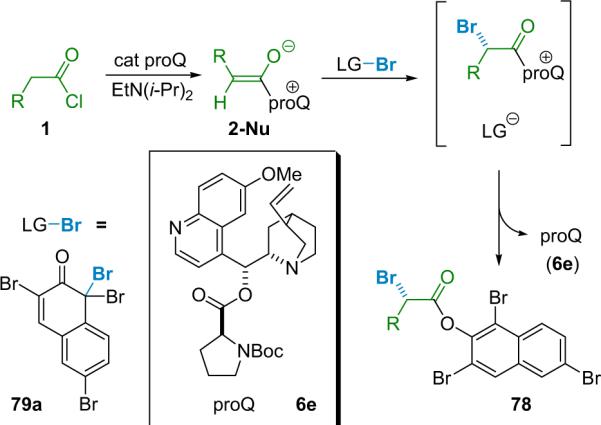 Scheme 5.3