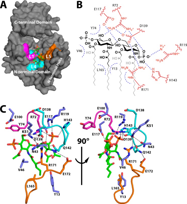 FIGURE 4.