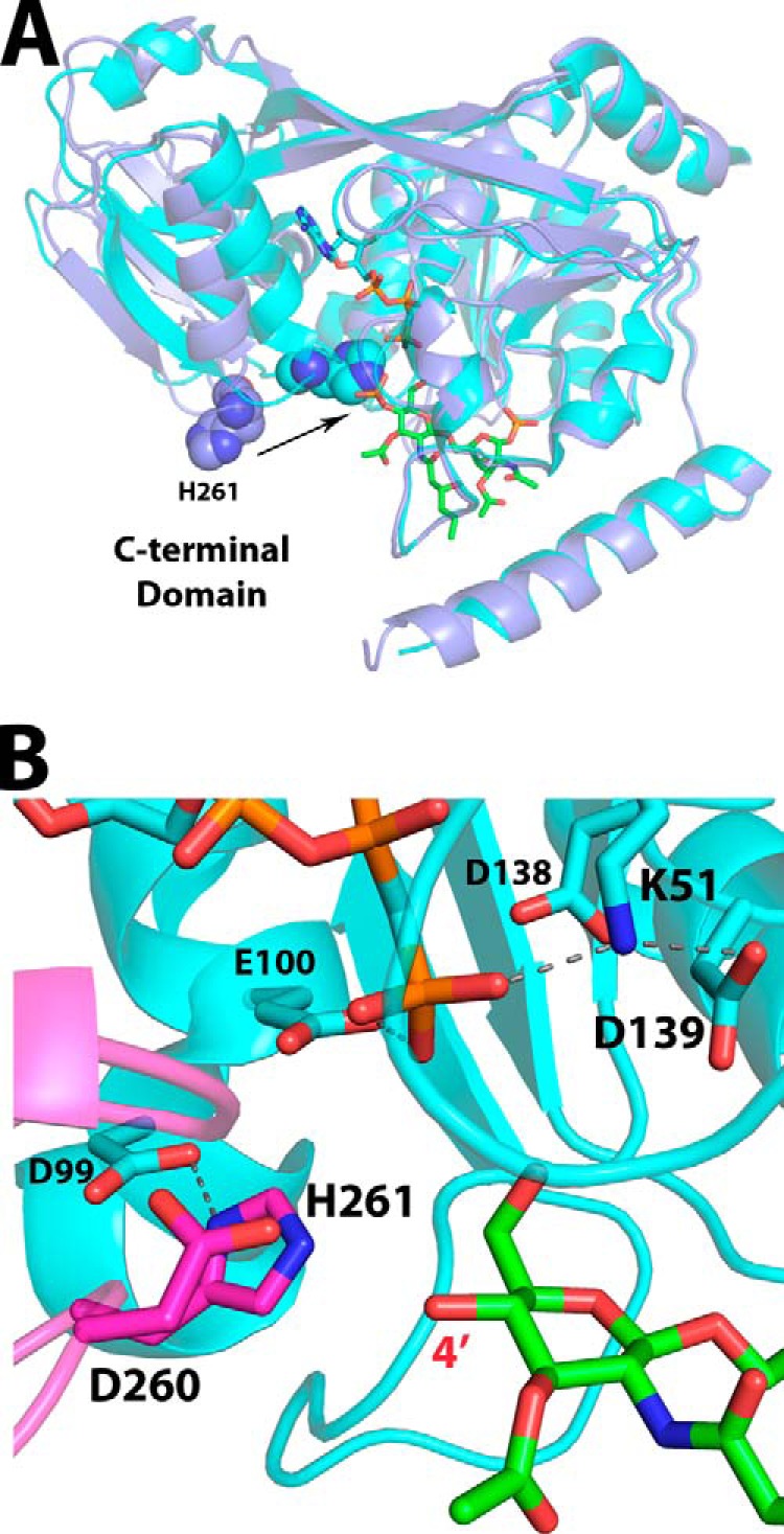 FIGURE 7.