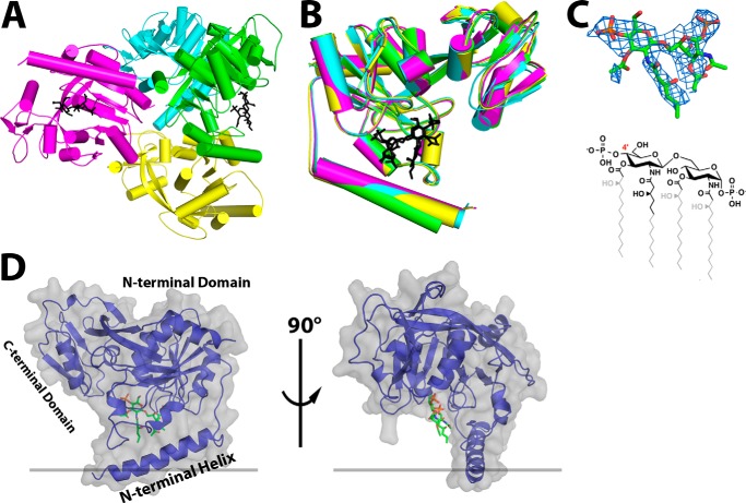 FIGURE 3.