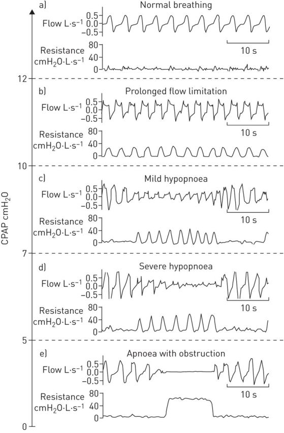 FIGURE 1