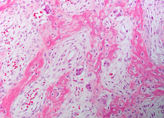 Fig. 9