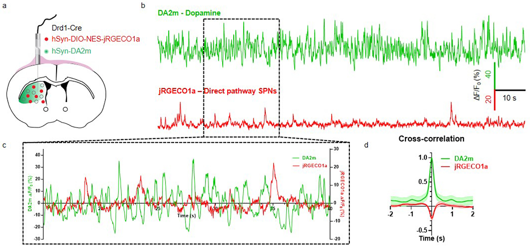 Extended Data Fig. 9