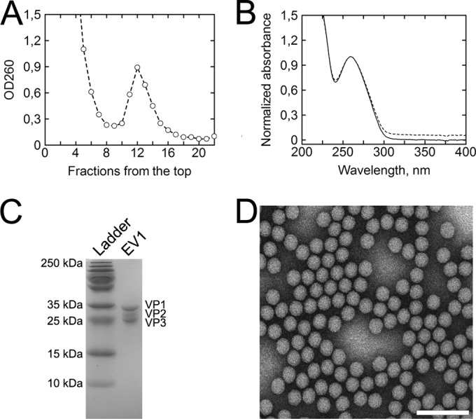 FIG 1